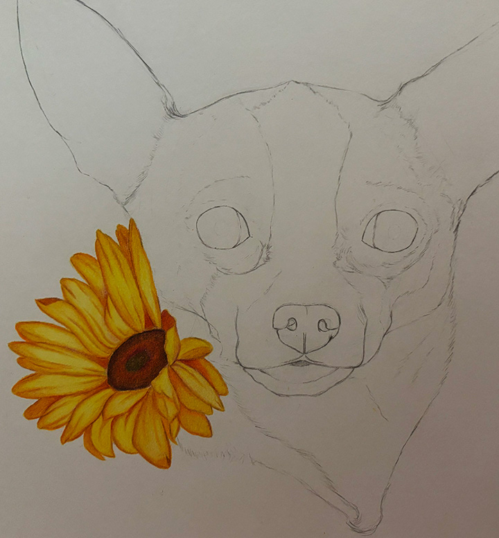 Luna in progress illustration